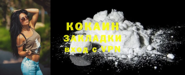шишки Арсеньев