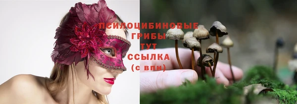 ALPHA PVP Рославль