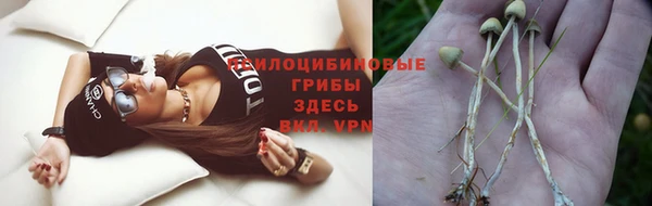 прущая мука Армянск