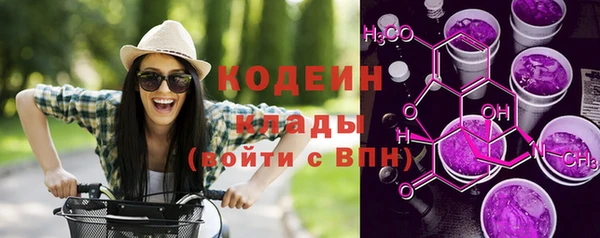 шишки Арсеньев