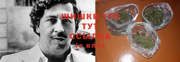 шишки Арсеньев