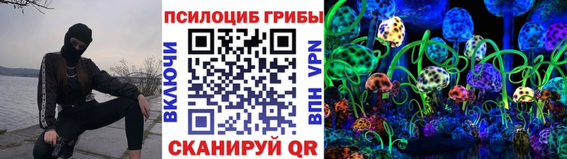 Псилоцибиновые грибы Psilocybe  Лахденпохья 